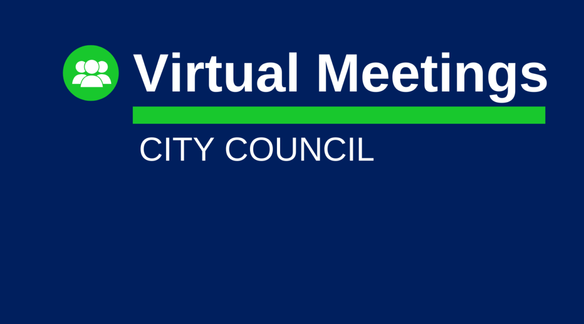 VIRTUAL MEETING